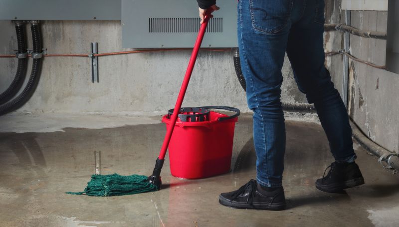 Basement Seepage Repair in Fort Collins, CO