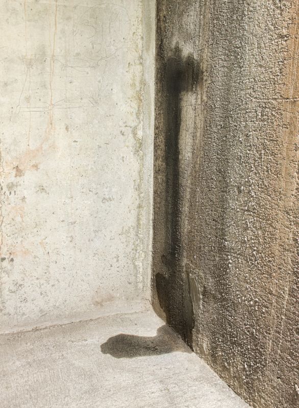 Foundation Leak Repair in Sarasota, FL