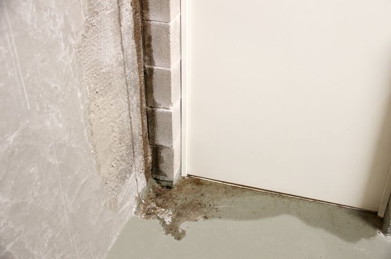 Foundation Leak Repair in Grand Rapids, MI