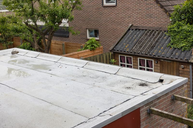 Roof Repair Image